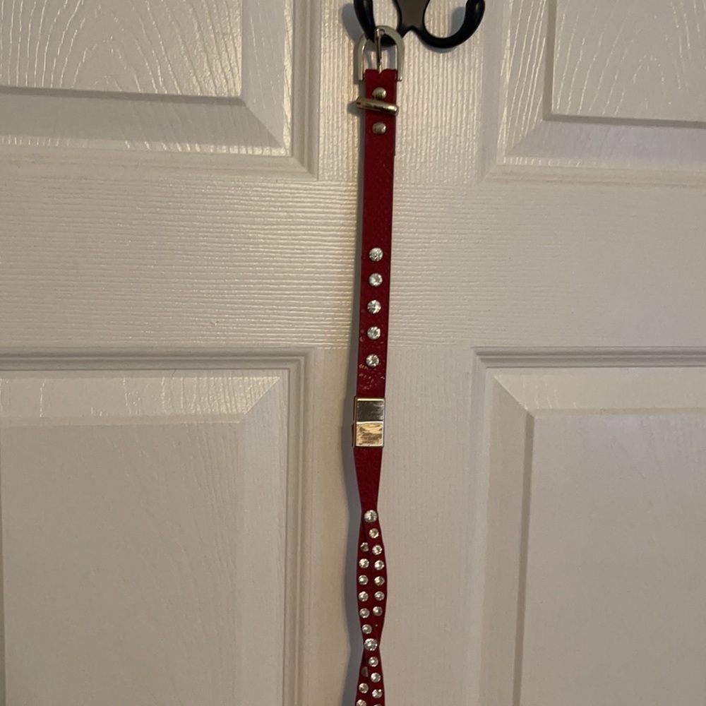 Red belt with gold hardware